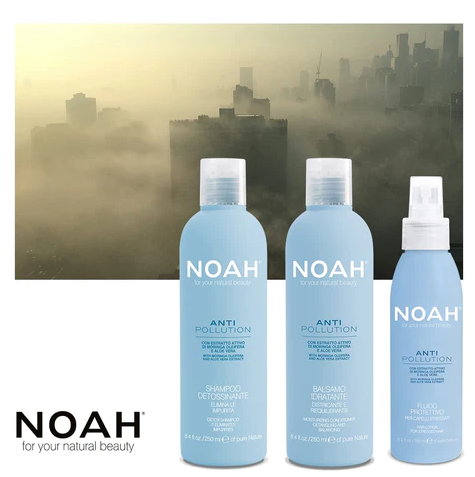 Noah Antipollution